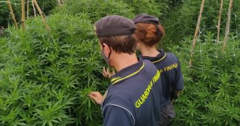 finanza colleferro marijuana valmontone