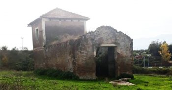 pascolaro università agraria valmontone