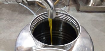 oro verde olio velletri lariano artena grottaferrata frascati anagni san vito monti lepini