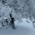 È arrivato il freddo: le immagini della neve sui Monti Lepini