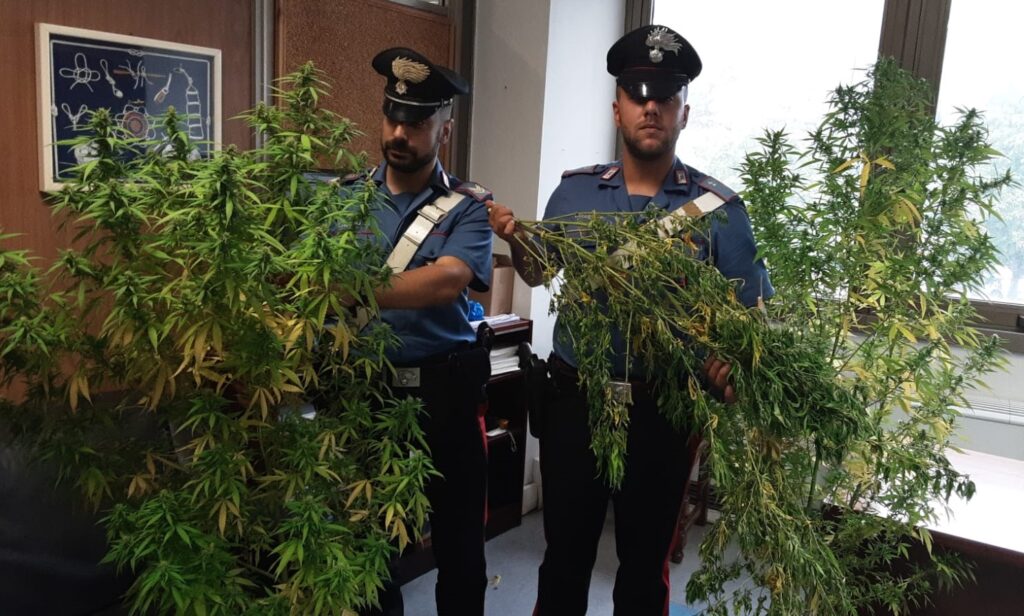 valmontone arresto marijuana