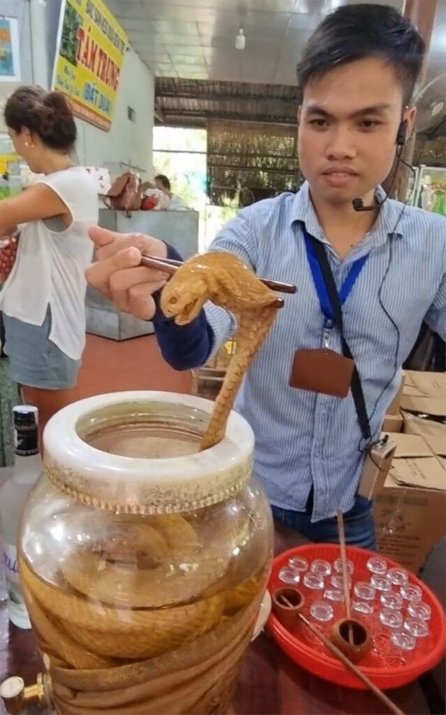 grappa al cobra vietnam foto di gabriele pizzotti