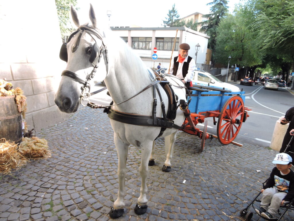 velletri festa uva